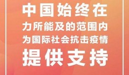 新闻共同体爆料电话,揭秘神秘电话背后的真相